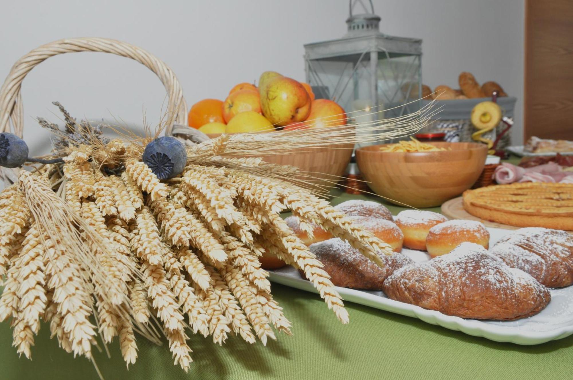 Garni Dal Mozat Bed & Breakfast Lenzumo di Concei Екстериор снимка